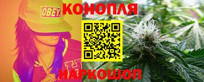 сатива Балаково