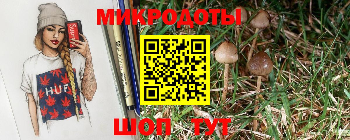 Галлюциногенные грибы Psilocybine cubensis Волгоград