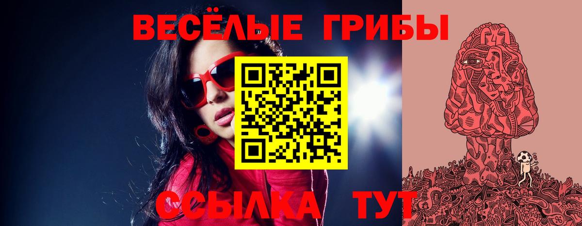Волгоград  Псилоцибиновые грибы Cubensis  Вход с VPN 