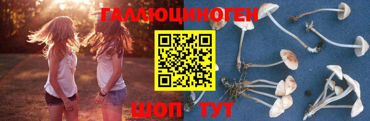 Псилоцибиновые грибы мухоморы  Галлюциногенные грибы Psilocybine cubensis  Волгоград 