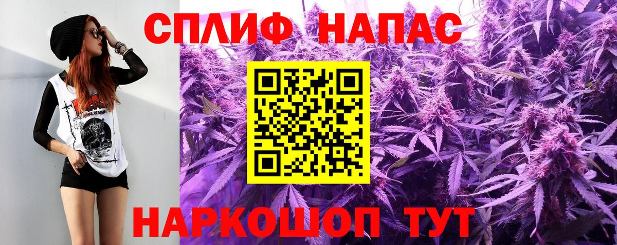 Бошки Шишки ГИДРОПОН Волгоград