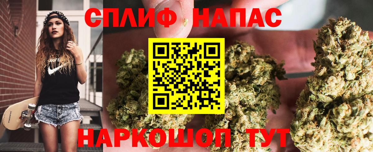 Бошки Шишки планчик  Волгоград  Бошки марихуана Amnesia  Каннабис VHQ 